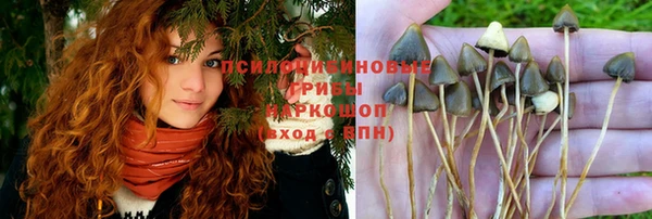 a pvp Волосово