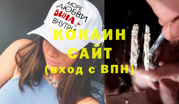 Альфа ПВП Инсар